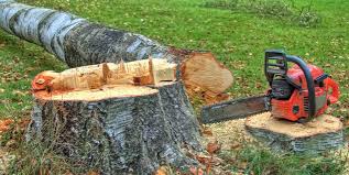 Best Stump Grinding and Removal  in Newton, IL